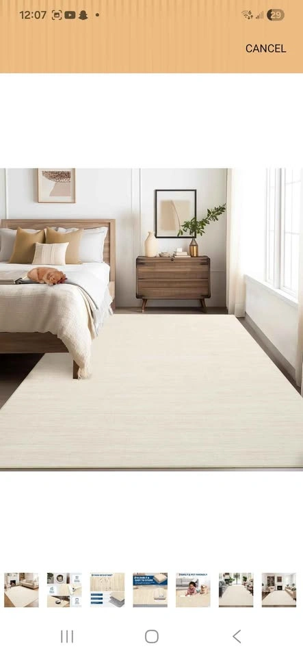 8x10 Living Area Rug - photo 4