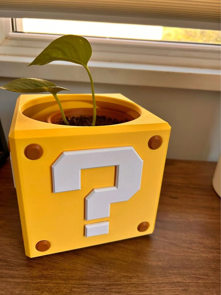 Mario Question Mark Planter with Plant