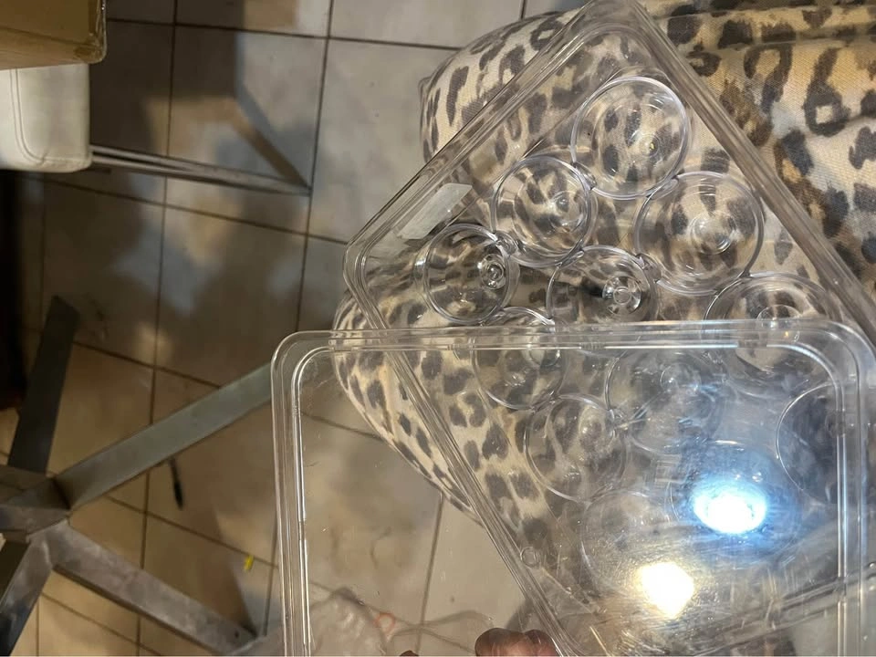 Organizer Eggs - photo 3