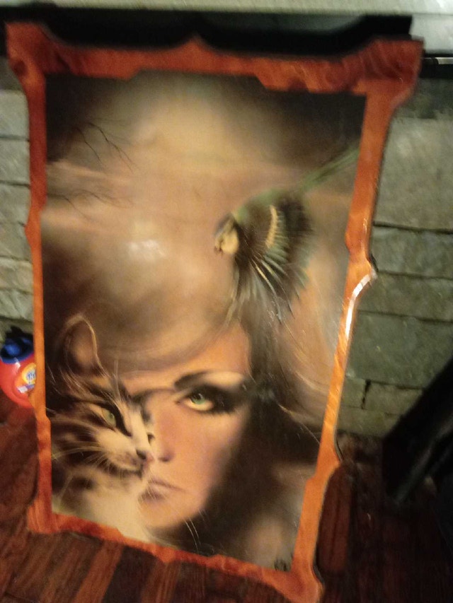 Vintage Wall Art - Woman with Cat and Bird, Wood Frame - photo 2
