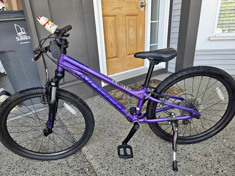 🚲 Norco Storm 24” Bike – Excellent Condition 💜