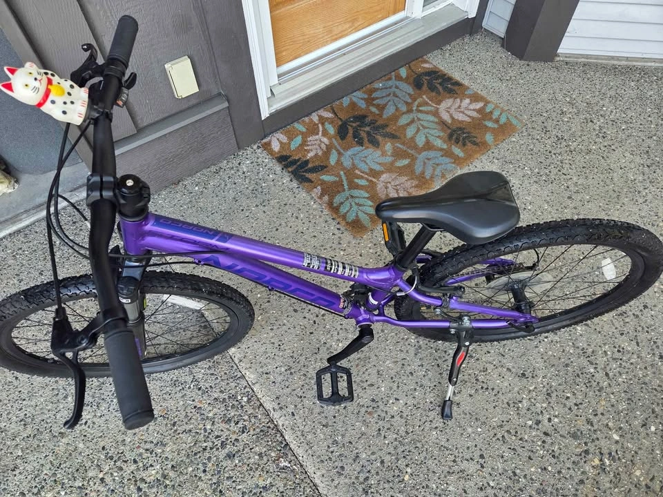 🚲 Norco Storm 24” Bike – Excellent Condition 💜 - photo 4