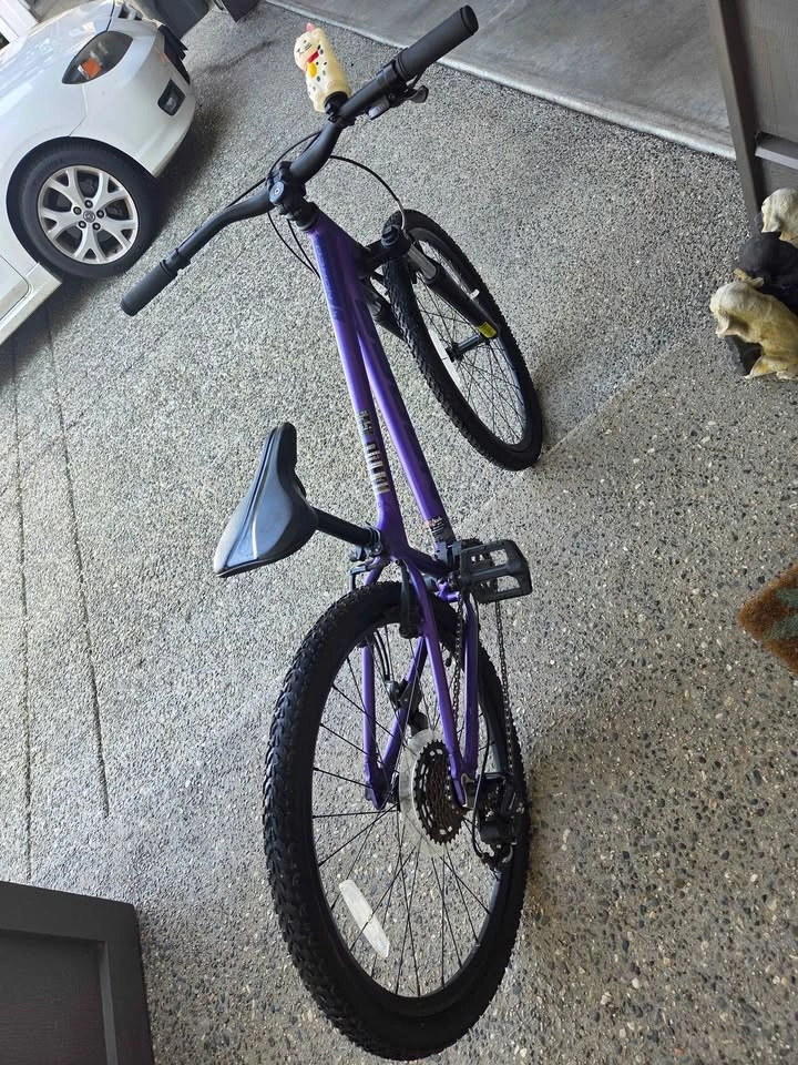 🚲 Norco Storm 24” Bike – Excellent Condition 💜 - photo 5