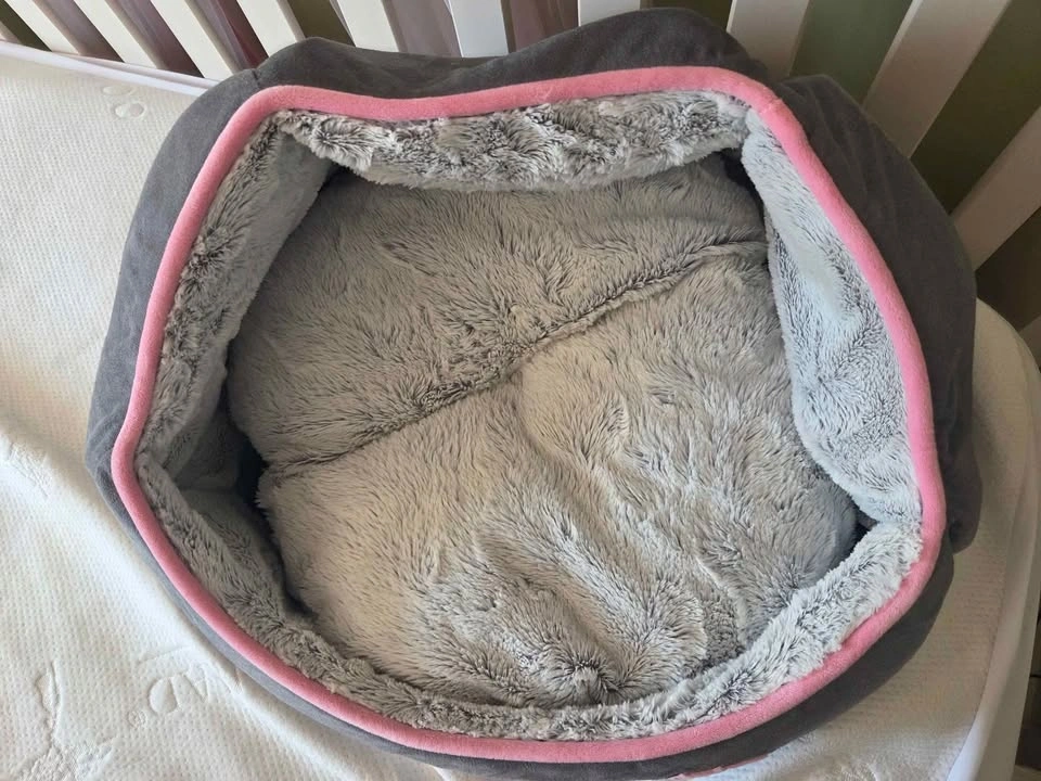 Cat Snuggle Cave Bed in EUC - photo 2