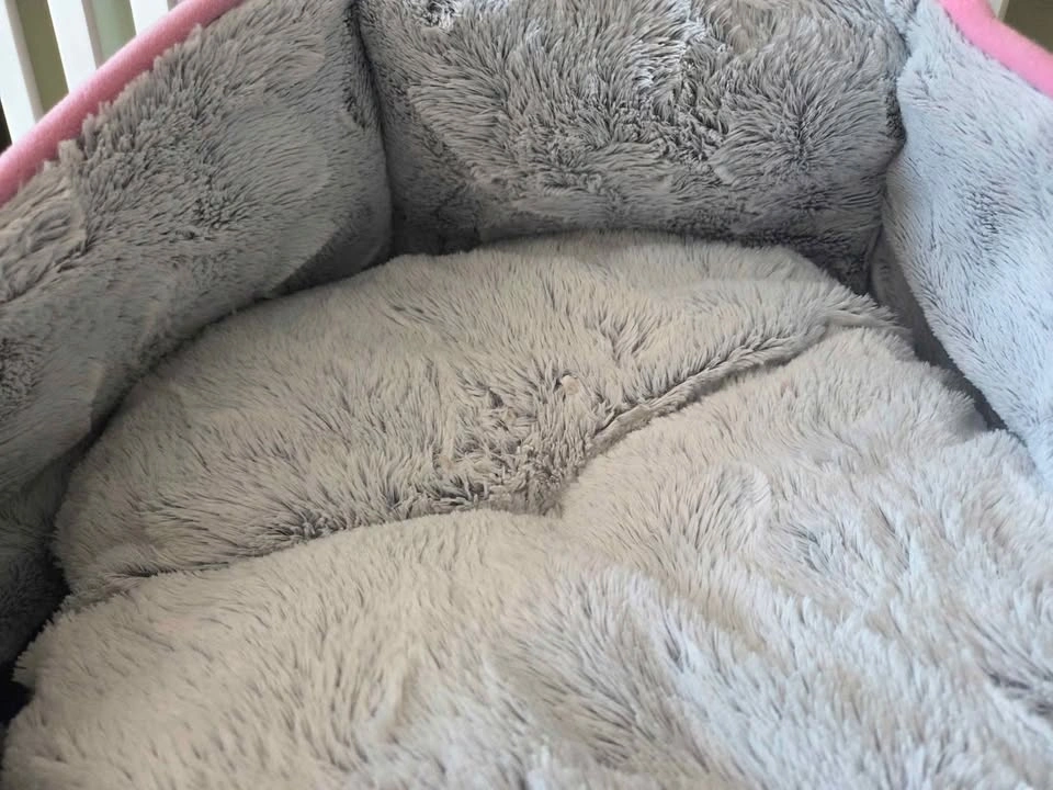 Cat Snuggle Cave Bed in EUC - photo 4