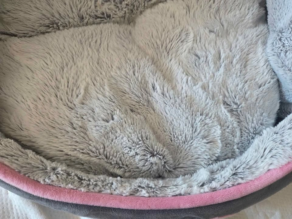 Cat Snuggle Cave Bed in EUC - photo 5