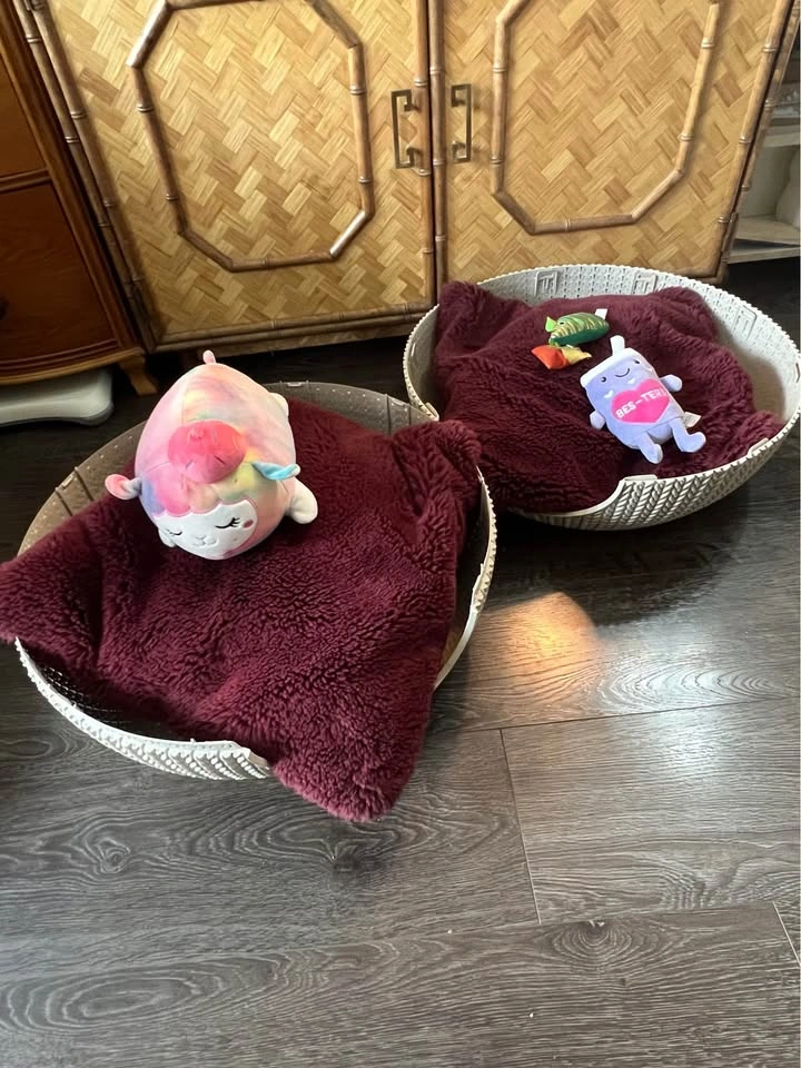 RARE Keter Curver Pet House & Bed Set - photo 3