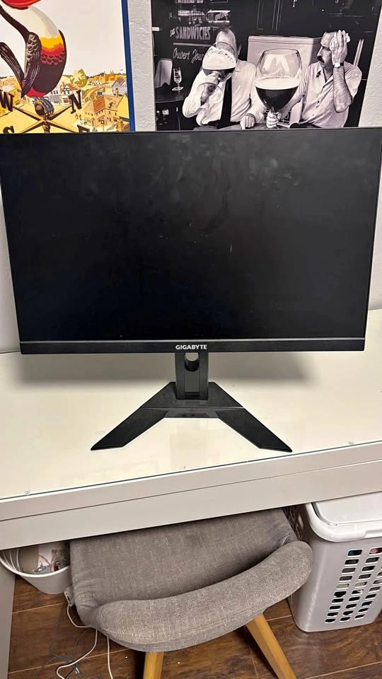 Gigabyte 24” Monitor