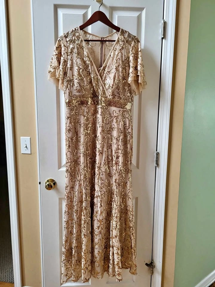Special Occasion Evening Dress 14P Gold Champagne