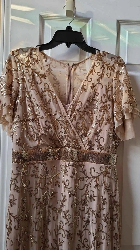 Special Occasion Evening Dress 14P Gold Champagne - photo 5