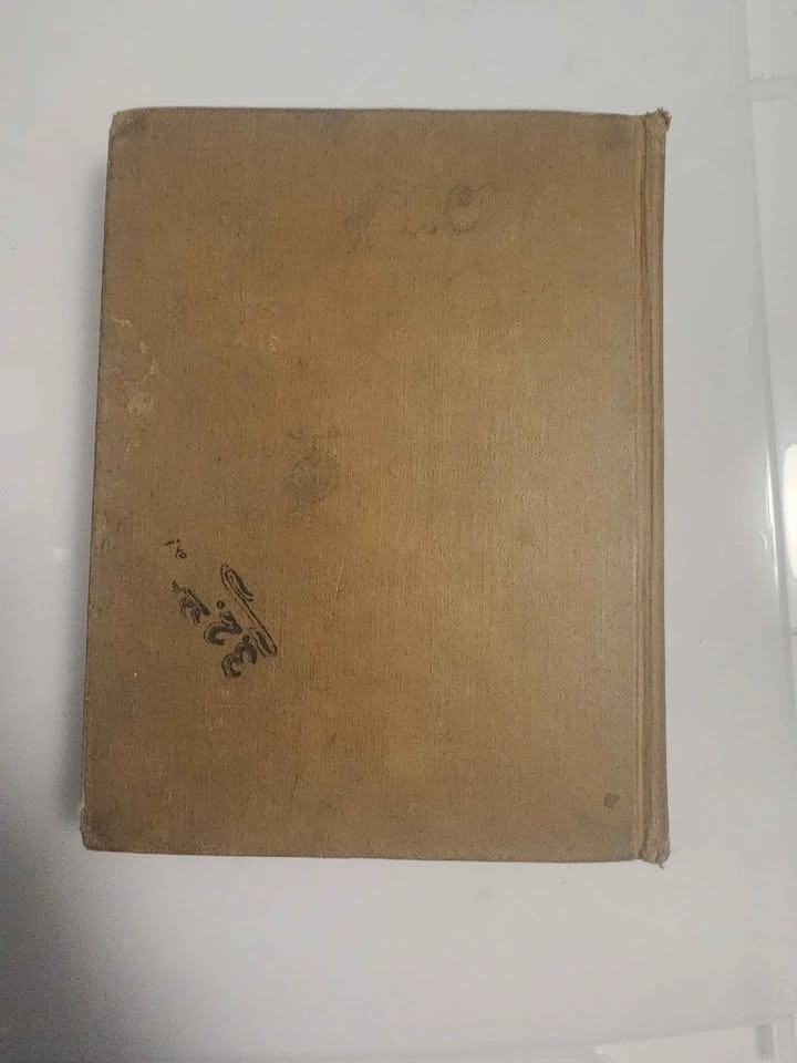 Free and Treadwell, Fourth Reader, Row Peterson, 1913 - photo 3