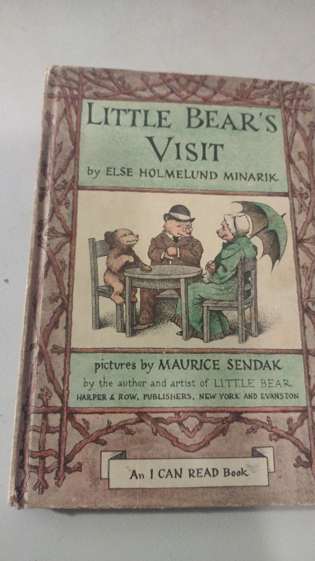 Little Bear's Visit