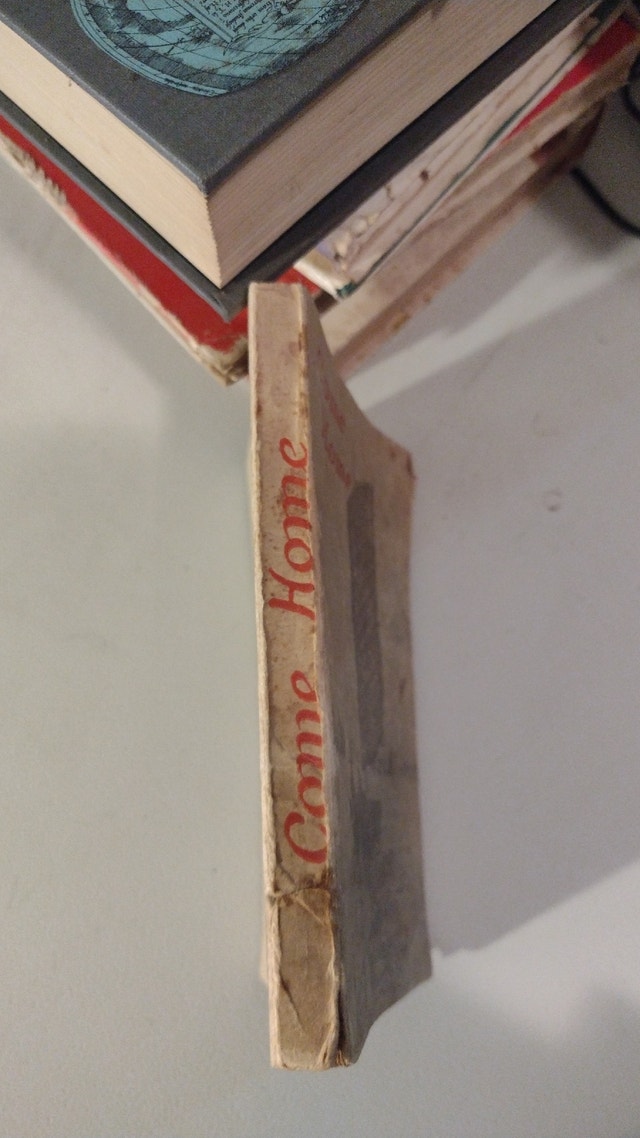 Come home - photo 2