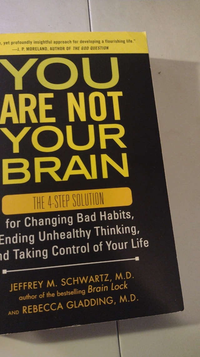 You Are Not Your Brain
