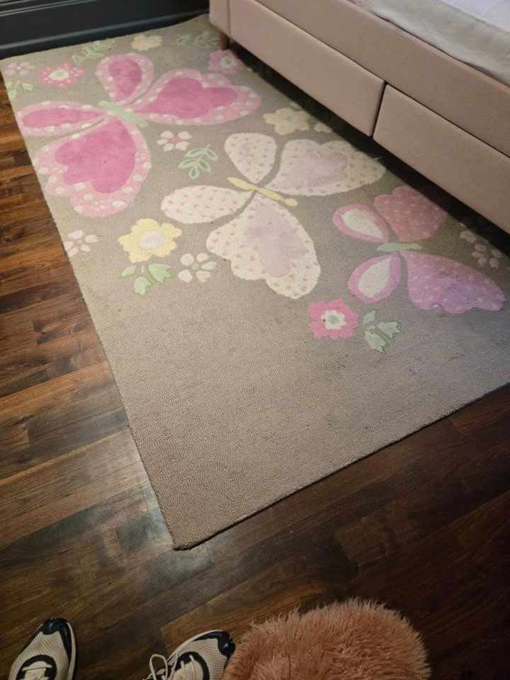 Pottery Barn Kids Camille Butterfly Rug • 8x10 • Wool • Pink Flo - photo 4
