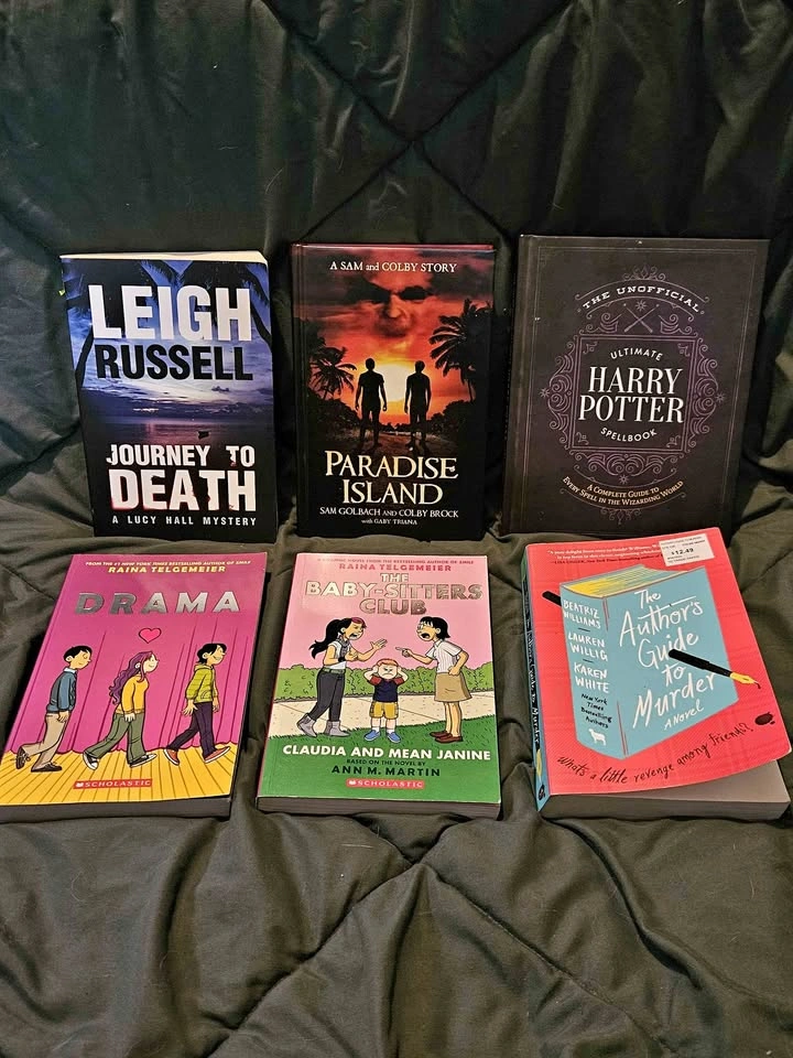 Mixed Book Bundle – Mystery, Graphic Novels & Extras