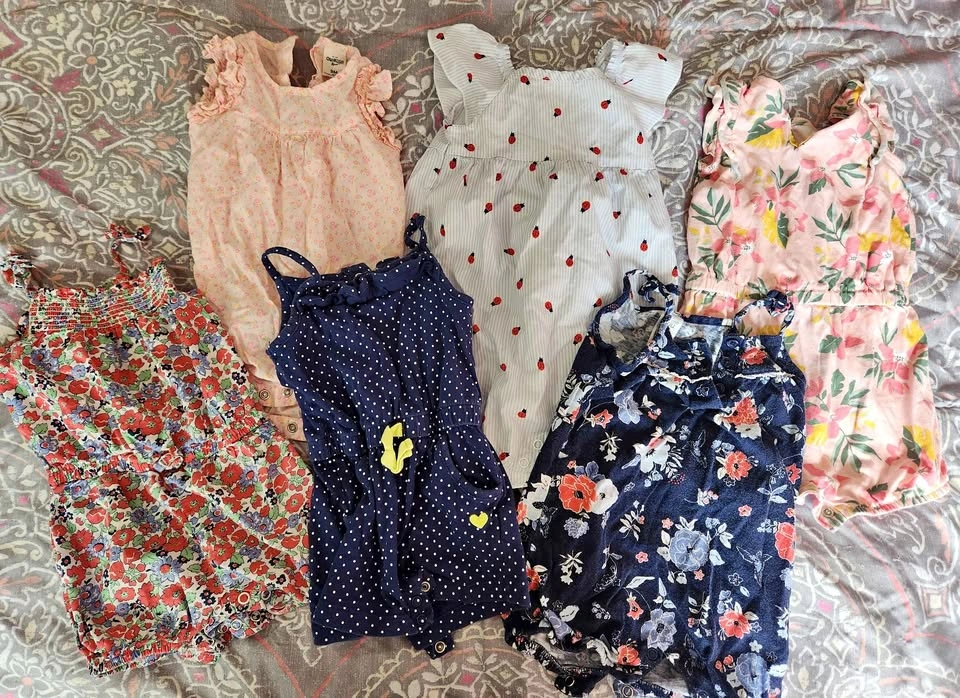 9 Month Old Girls Spring/Summer Clothing Lot