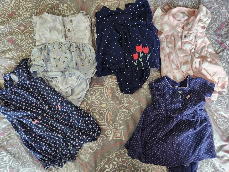 9 Month Old Girls Spring/Summer Clothing Lot - photo 2
