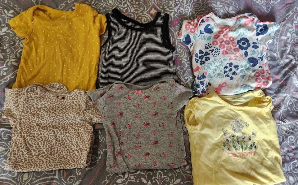 9 Month Old Girls Spring/Summer Clothing Lot - photo 3