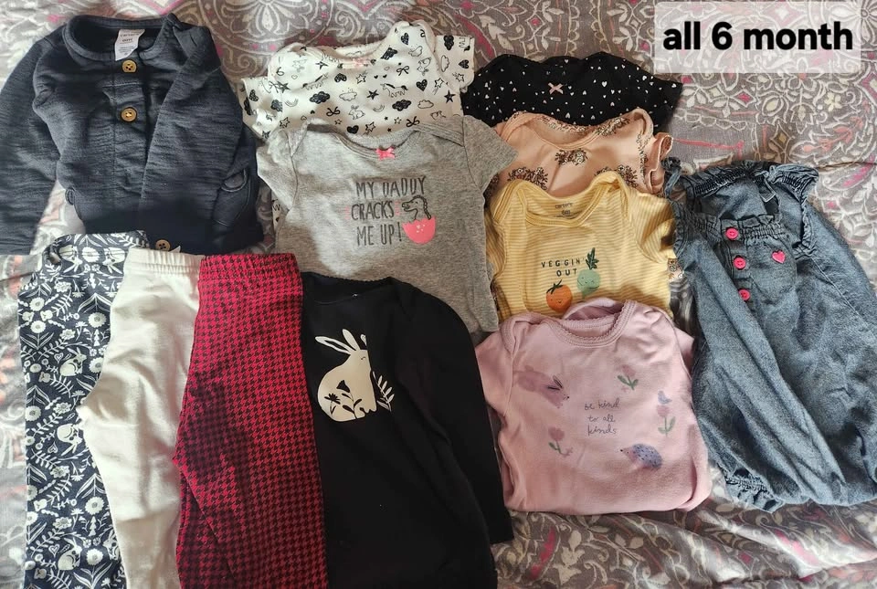 6-9 Month Girls Spring/Summer Clothing Lot - photo 3