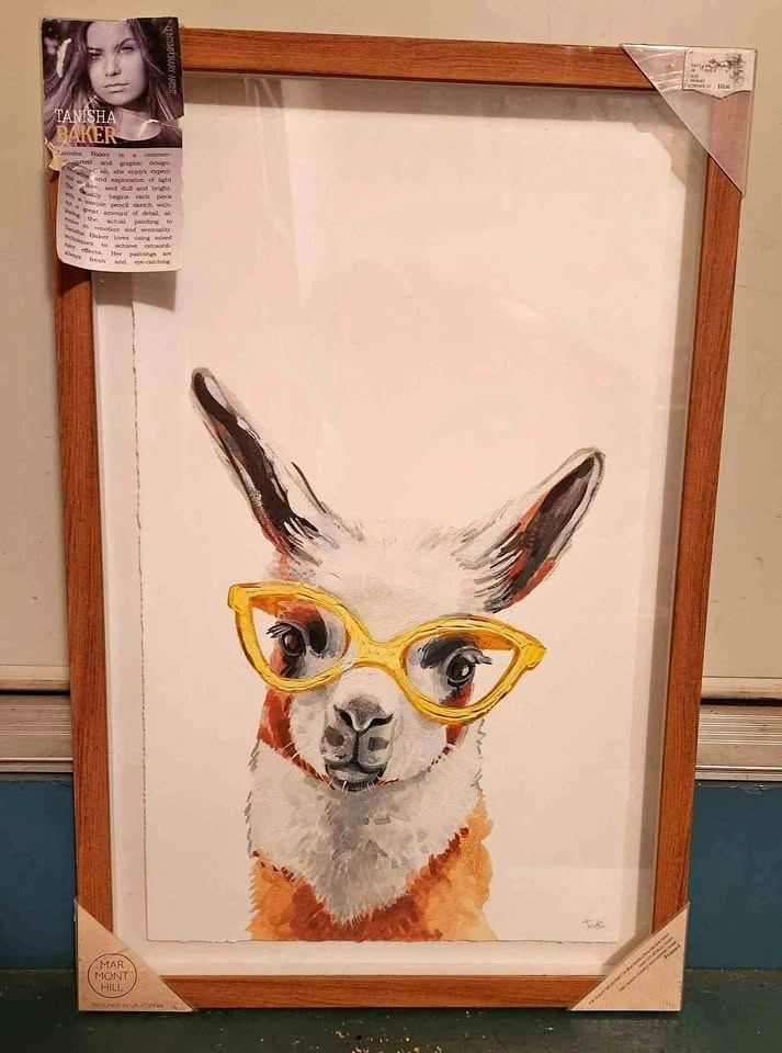 Llama Artwork in Frame - Nursery or school