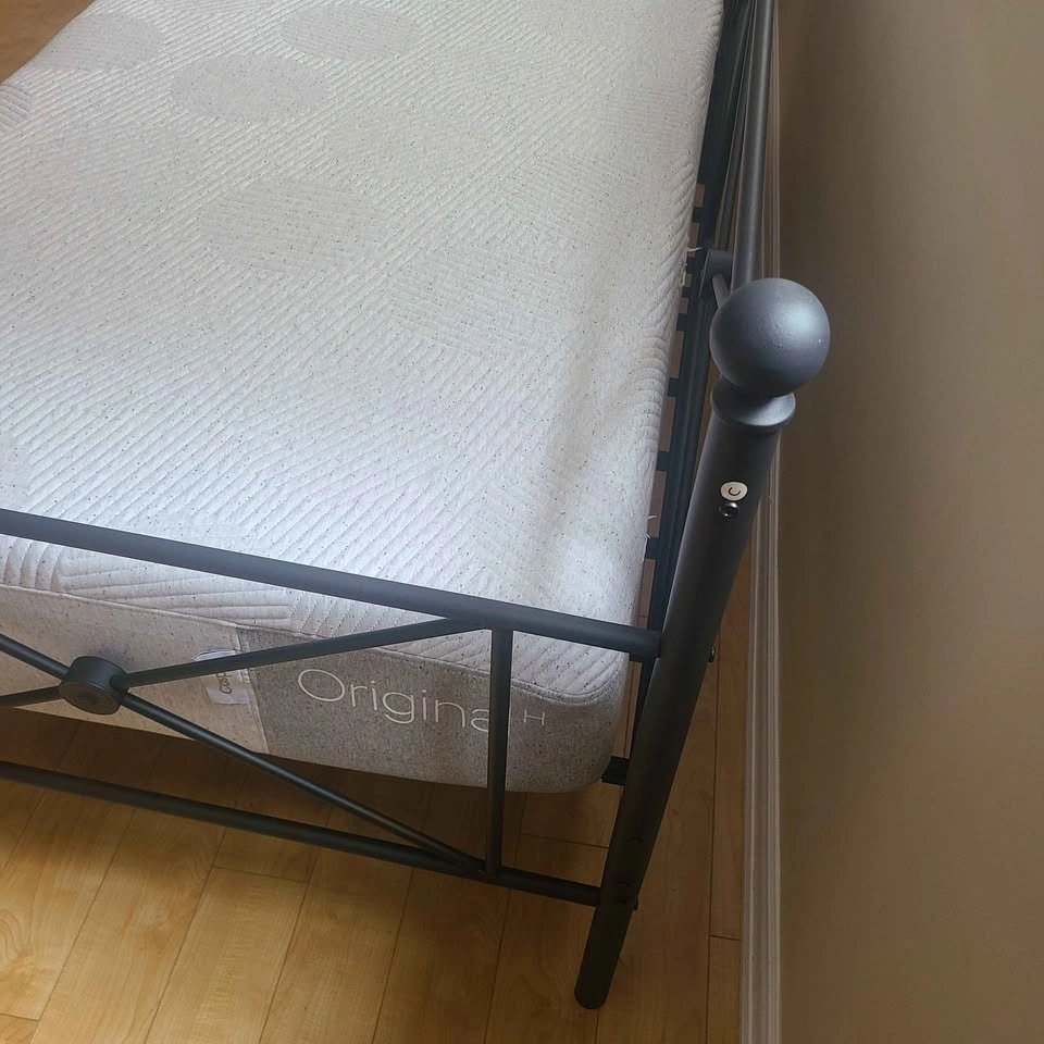 Wayfair Metal Daybed with Casper Hybrid Mattress - photo 2