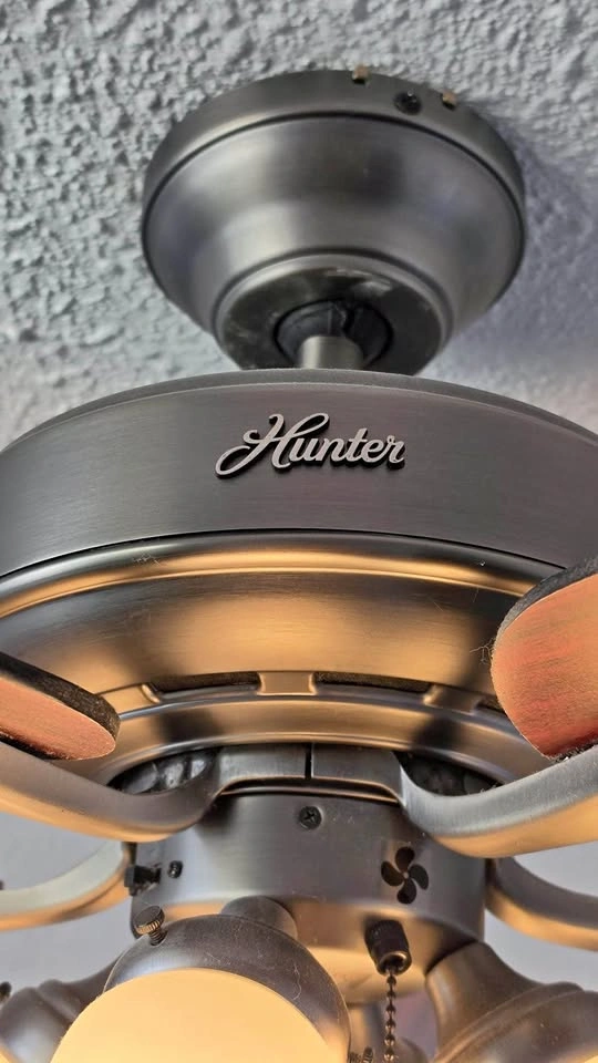 Hunter Ceiling Fan with Lights Dark Bronze Wood Blades