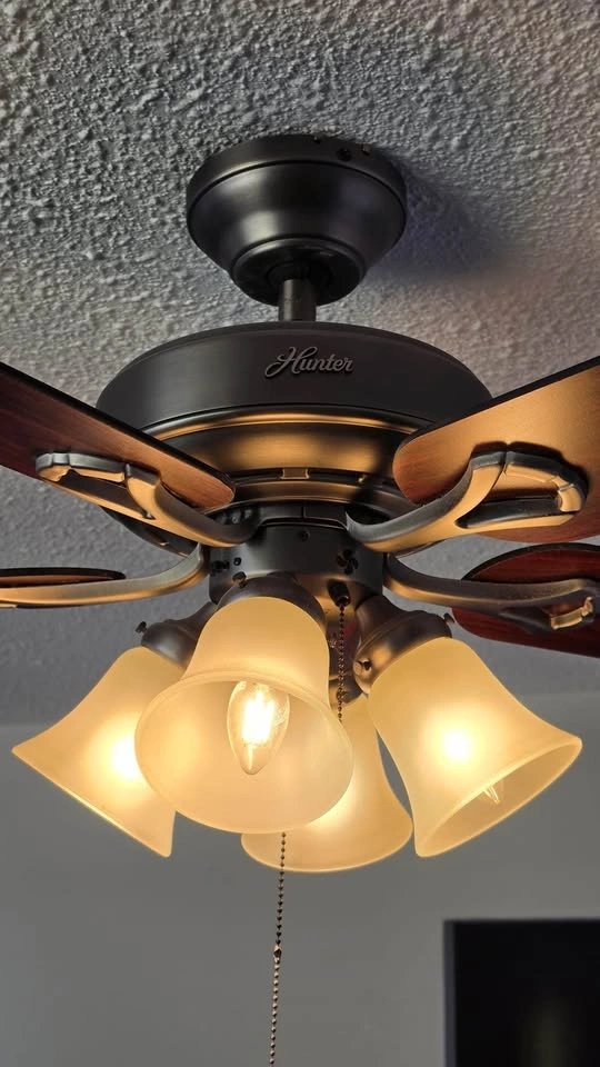 Hunter Ceiling Fan with Lights Dark Bronze Wood Blades - photo 2