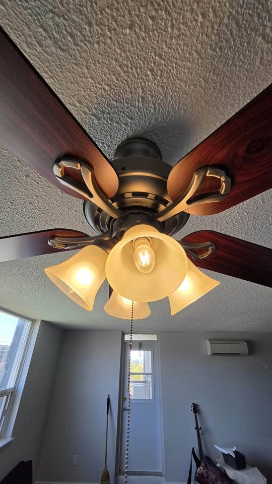 Hunter Ceiling Fan with Lights Dark Bronze Wood Blades - photo 3