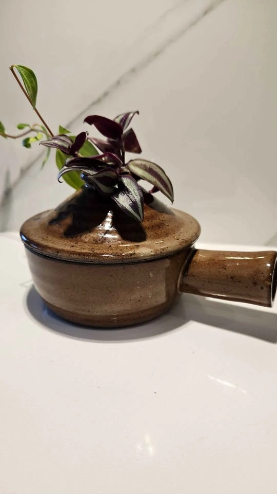 Small tagine planter with trailing plants