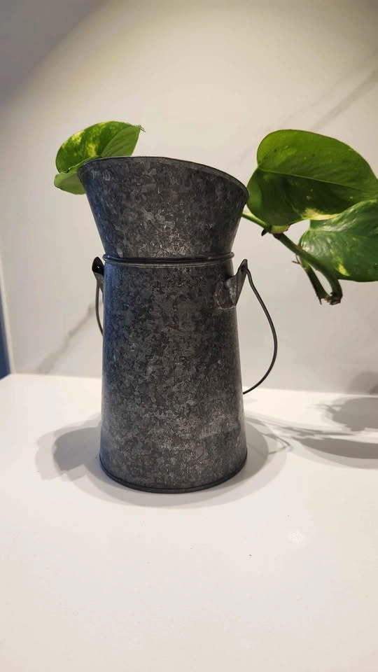 Rustic metal jug with pothos plant - photo 2