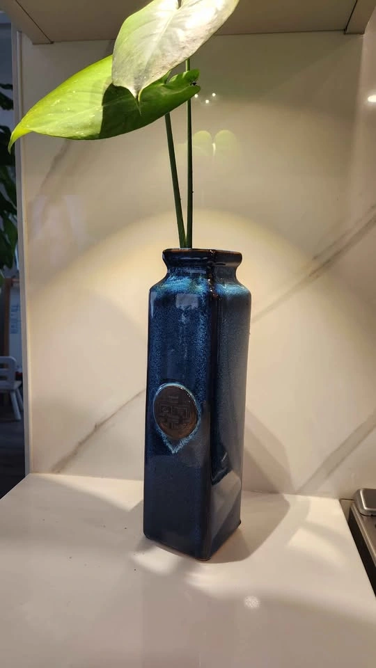 Beautiful pottery vase planter with Monstera plant - photo 2