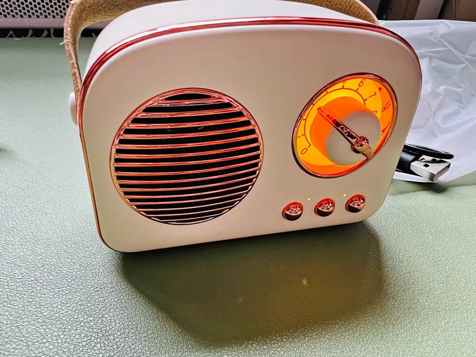 Retro Portable Wireless Speaker T20 White Rose Gold