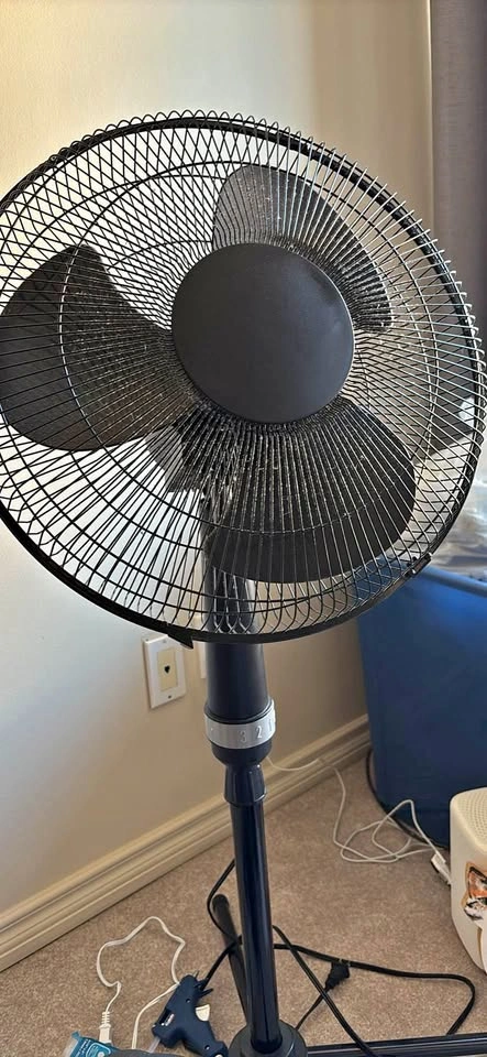 Standing 3 speed fan