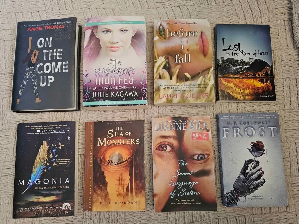 YA Book Lot - photo 2