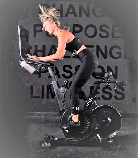 PODIUM EX5S by SPINCO Exercise Machine