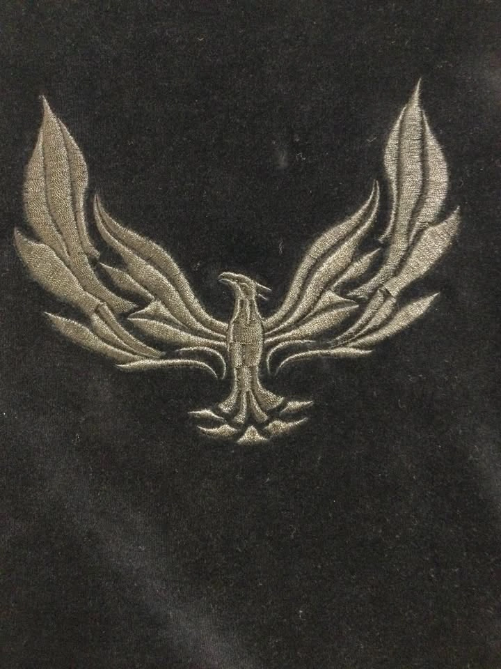 STALLION BLACK VELOUR PHOENIX HOODIE Tony 1923 Size S - photo 2