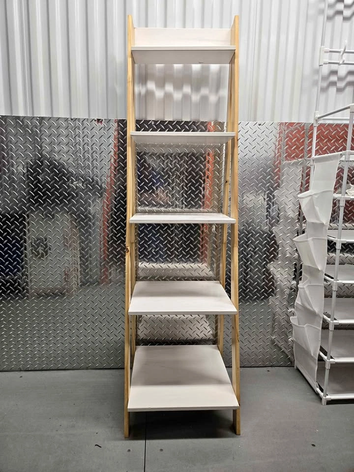 Ladder Bookshelf