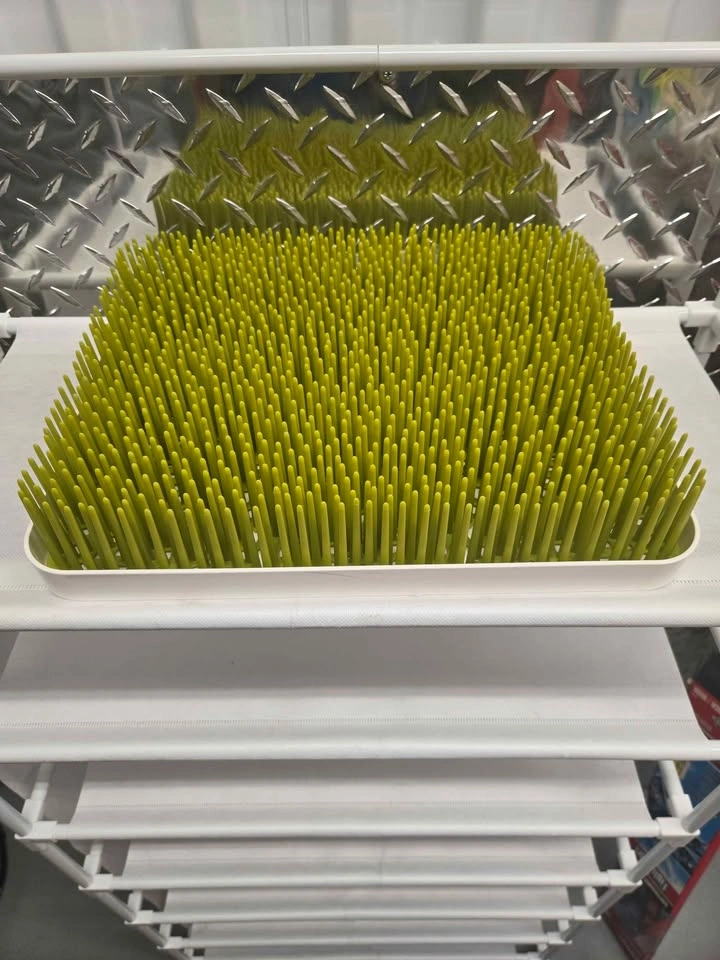 Boon Grass Baby Bottle Drying Rack - photo 4