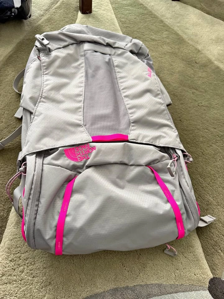 The North Face Alea Backpack Grey Pink