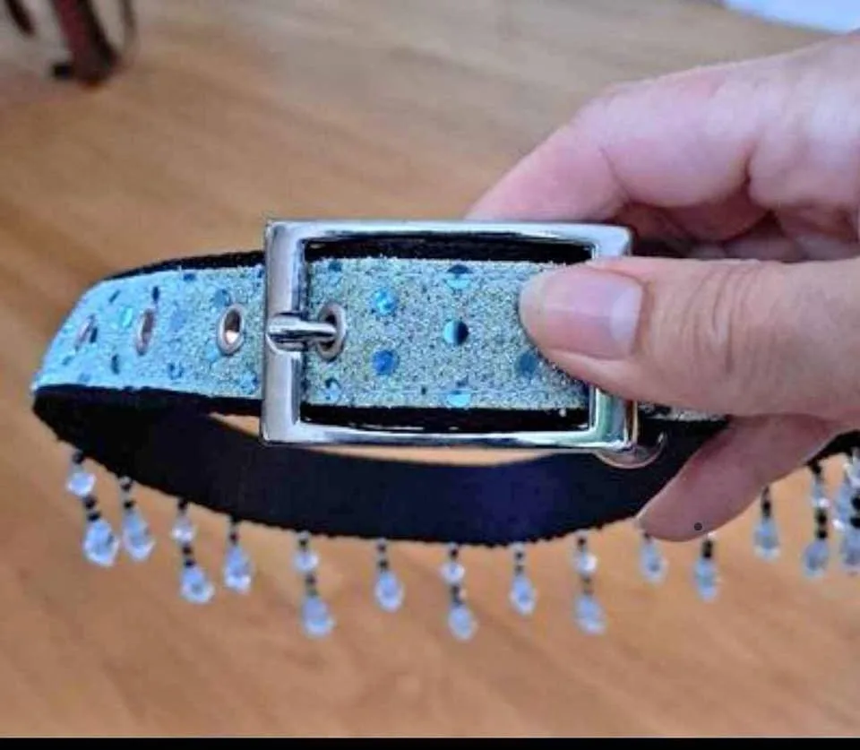 Fancy Dog Collar thumbnail