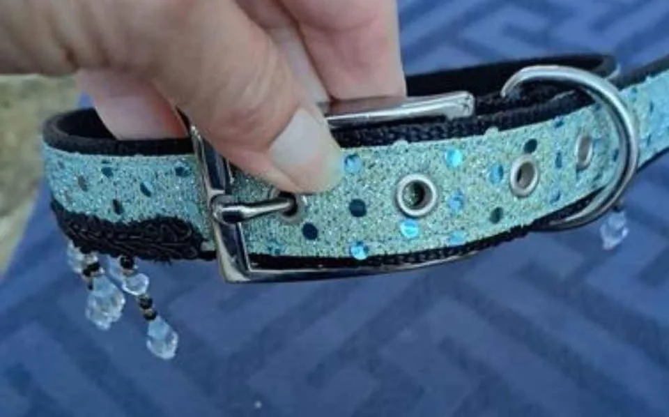Fancy Dog Collar image indicator(2)