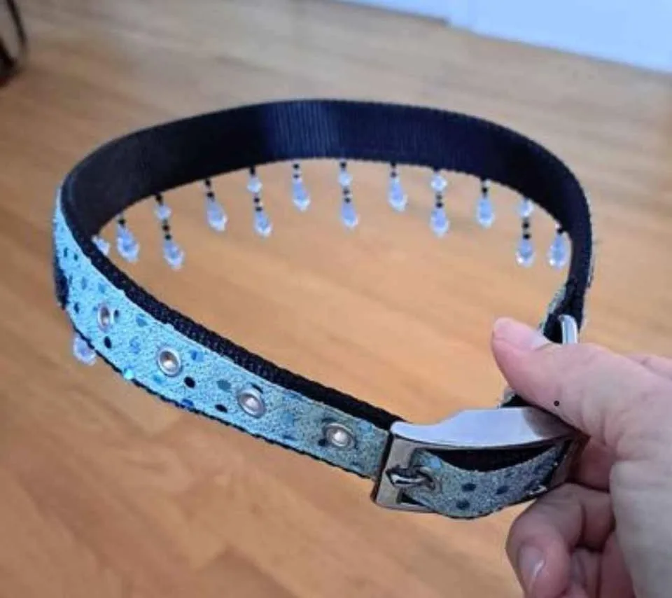 Fancy Dog Collar image indicator(3)