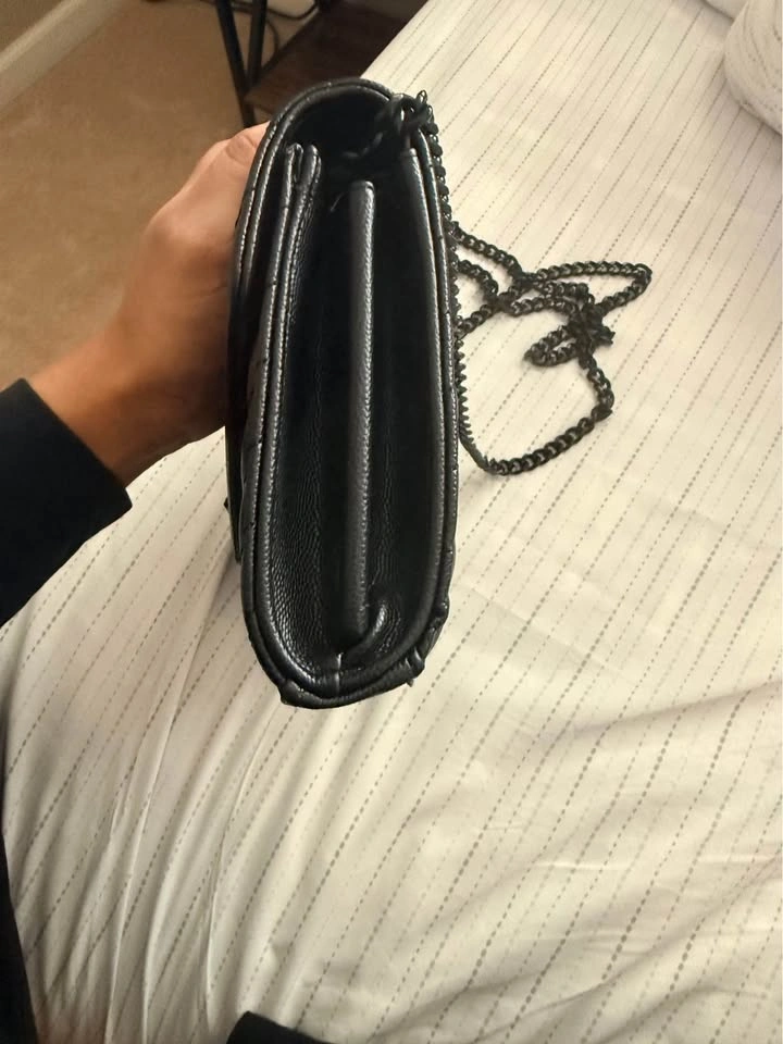 YSL Wallet on Chain - photo 3