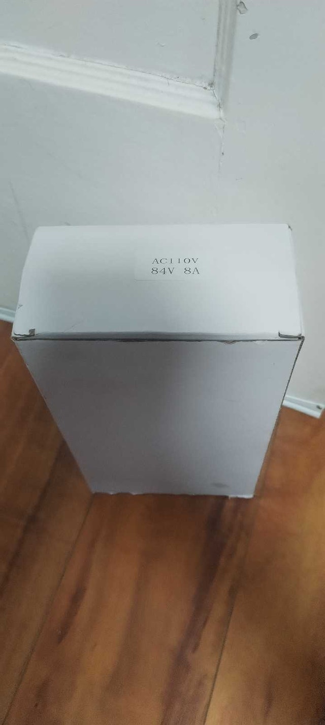 Intelligent Fast Ebike Charger