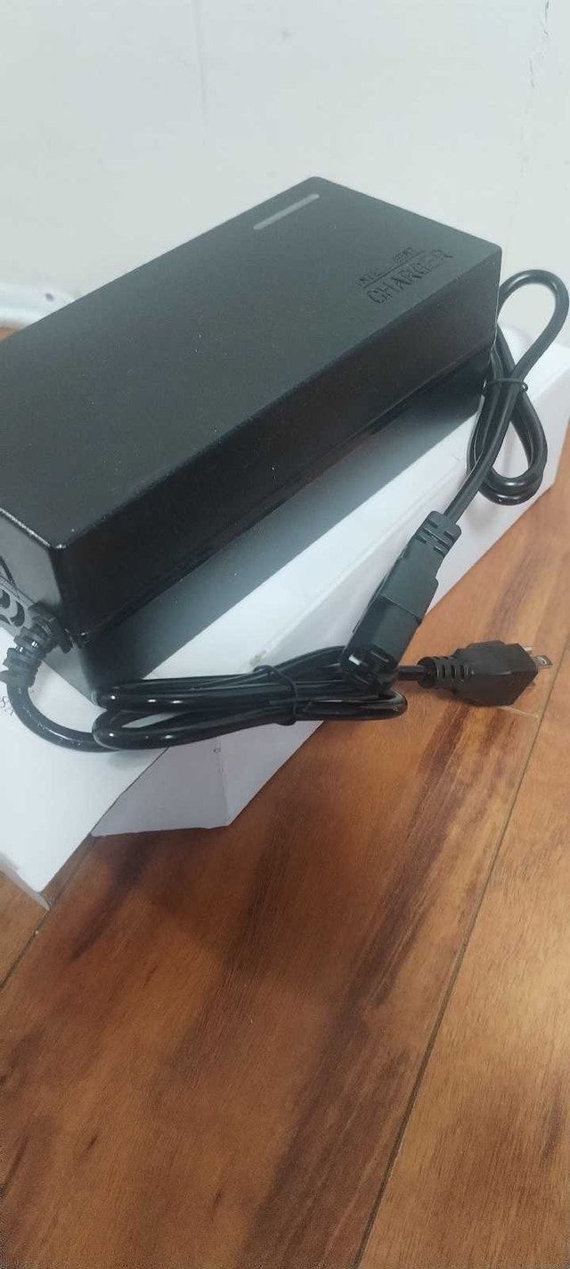 Intelligent Fast Ebike Charger - photo 2