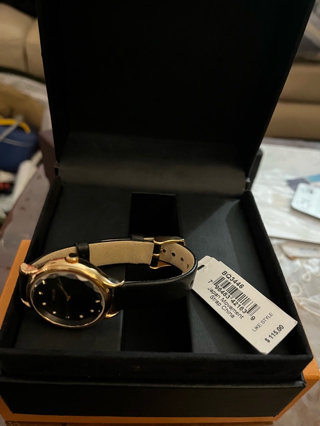 Fossil Watch