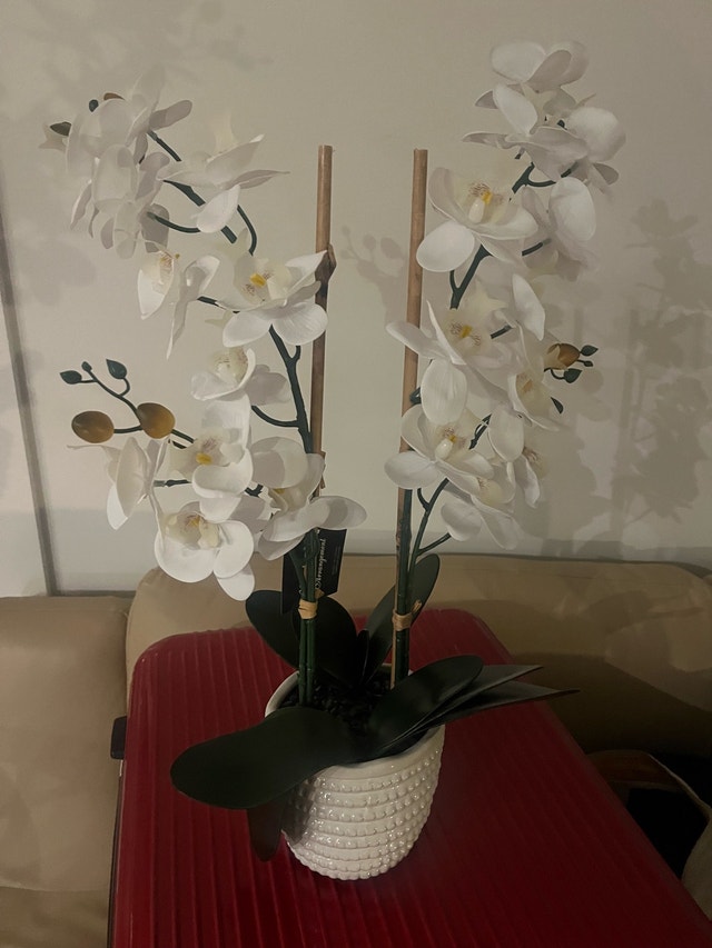 LeCASA Orchid - photo 3