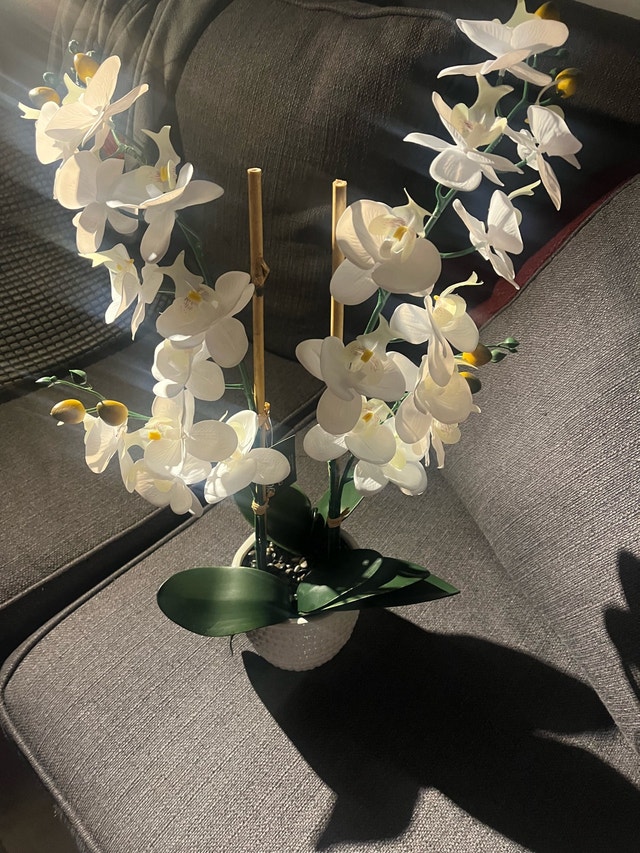 LeCASA Orchid - photo 4