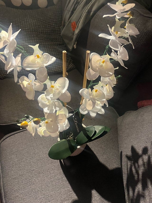 LeCASA Orchid - photo 5